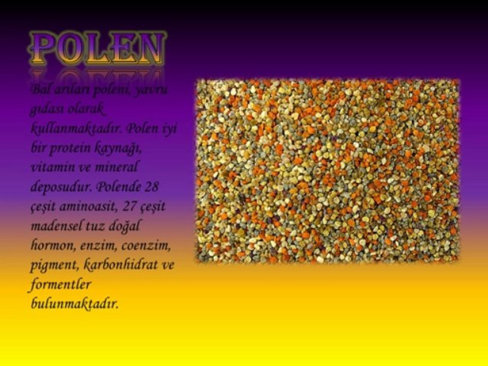 APİTERAPİ NEDİR? ARI SÜTÜ, POLEN, PROPOLİS VE BAL MUCİZESİ...