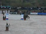 28/04/2013 - Jumping de Sandillon - Grand Prix CSI2*, Thierry ROZIER au barrage