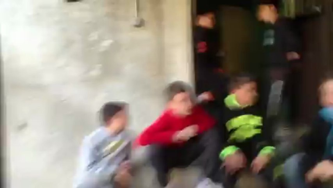 Choré Who Let Dogs Out