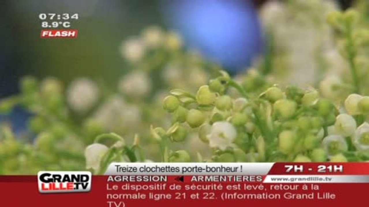 1er Mai : Muguet, 13 clochettes pour porter bonheur !