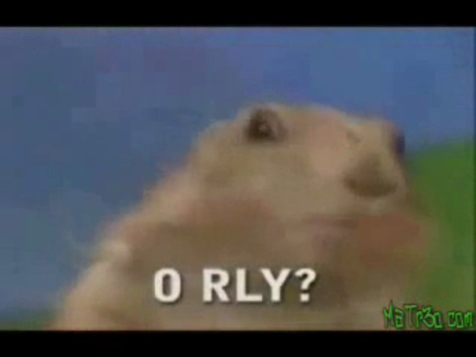Dramatic Chipmunk