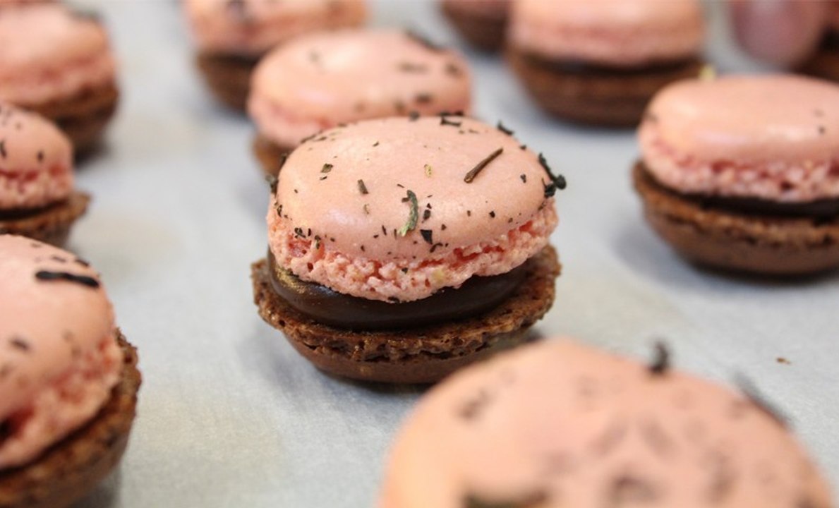 100% Macarons - 750 Grammes de Gourmandises avec Yann Brys