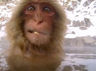 GoPro - Snow Monkey - Hot Tub -2013