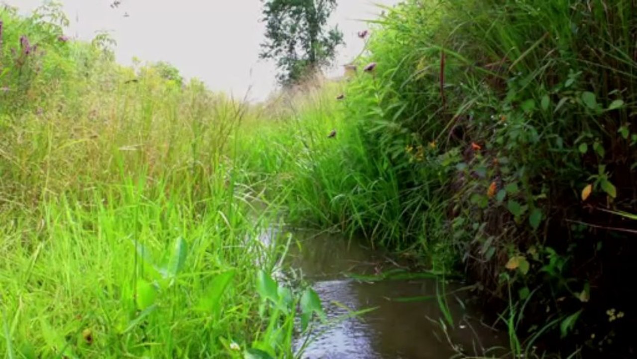 Clip Porte l'eau
