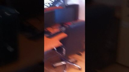 Millenium House - L'attaque du pigeon