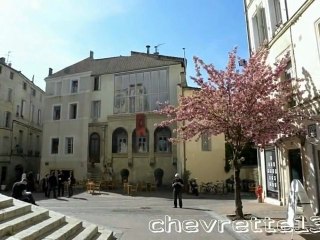 Montpellier 3 - quartier st Roch
