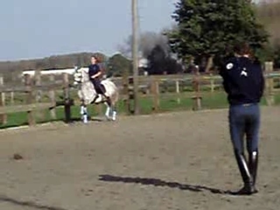 tigo trot cours