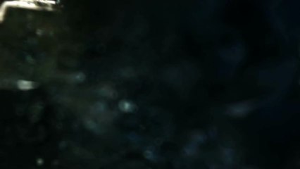 Killer is Dead (PS3) - Mondo Girls