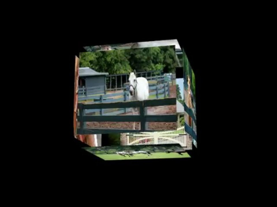 Rich Cocovich of Global Star Capital Tour of Lawton Stables