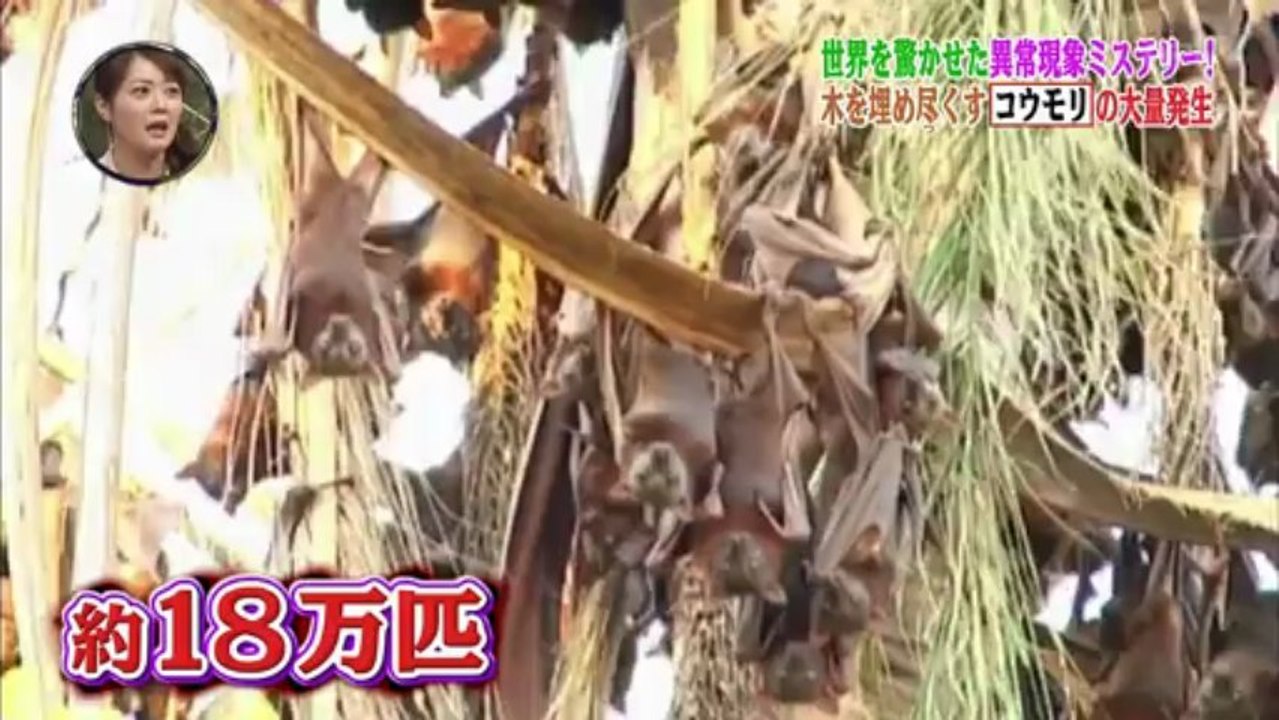 20130427 Sekai Ichi Uketai Jugyou [Ki]