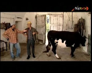 Barz - 1x36 - La vacca