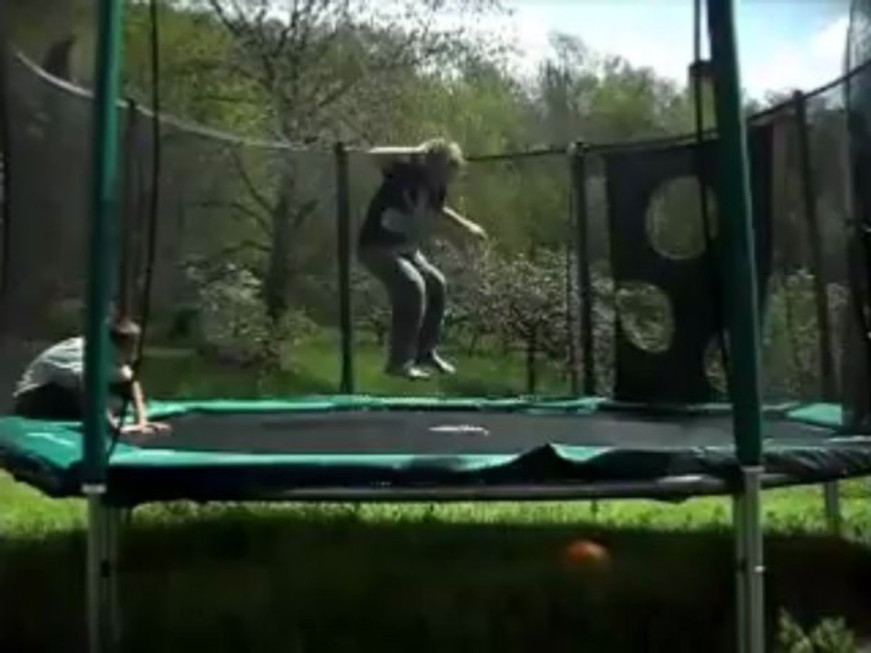 tramp  leo and remi