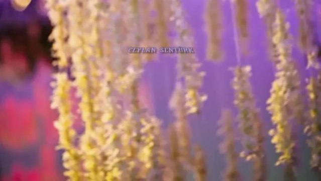 YILLARDIR NEREDEYDİN