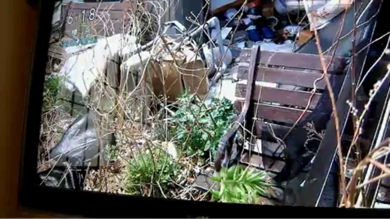 20130430  浪江町「農地保存」への取り組み