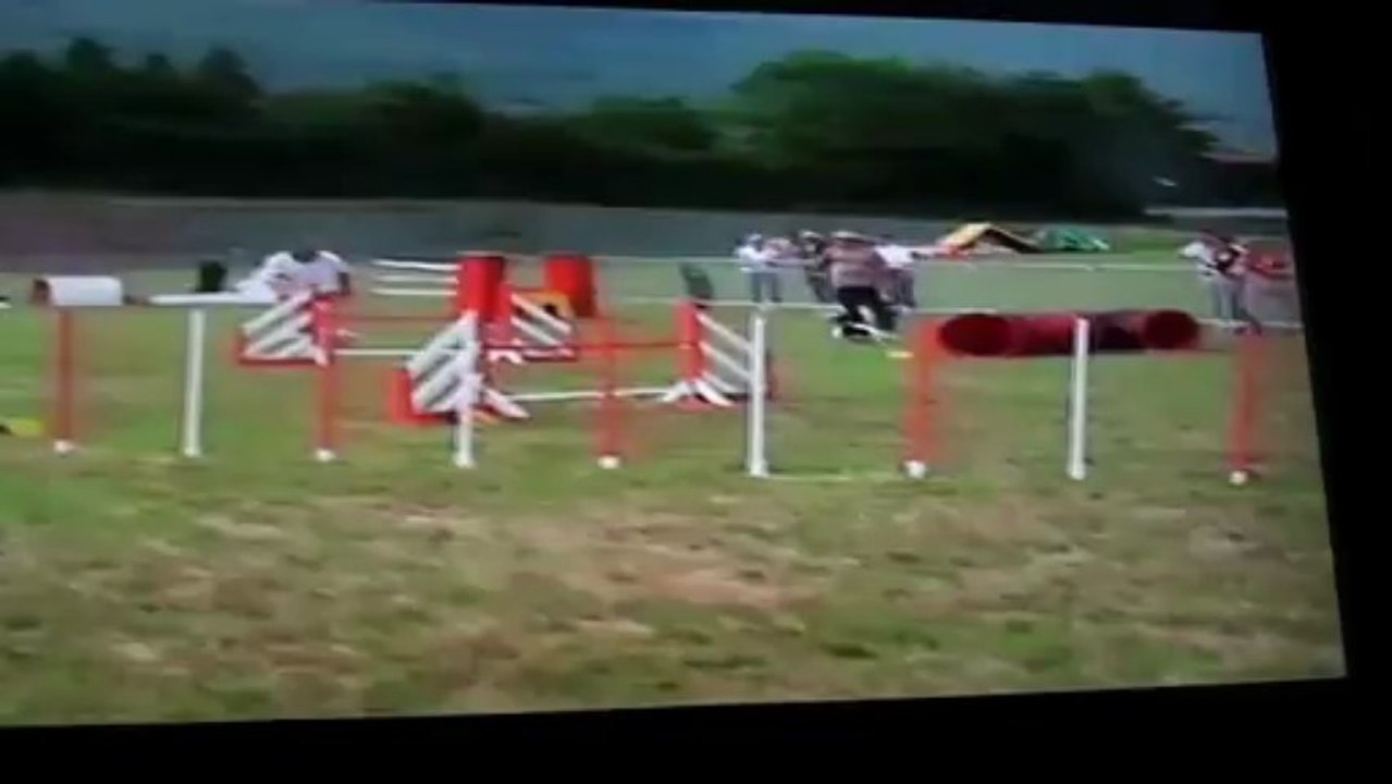 chute Max