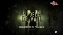 Sous le masque des prédateurs_Au delà du mal_Taffy Hotene