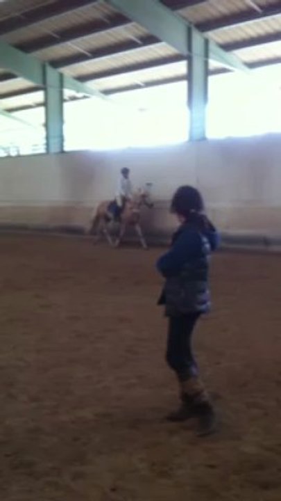 Arkann 1er galop dans le manège laché