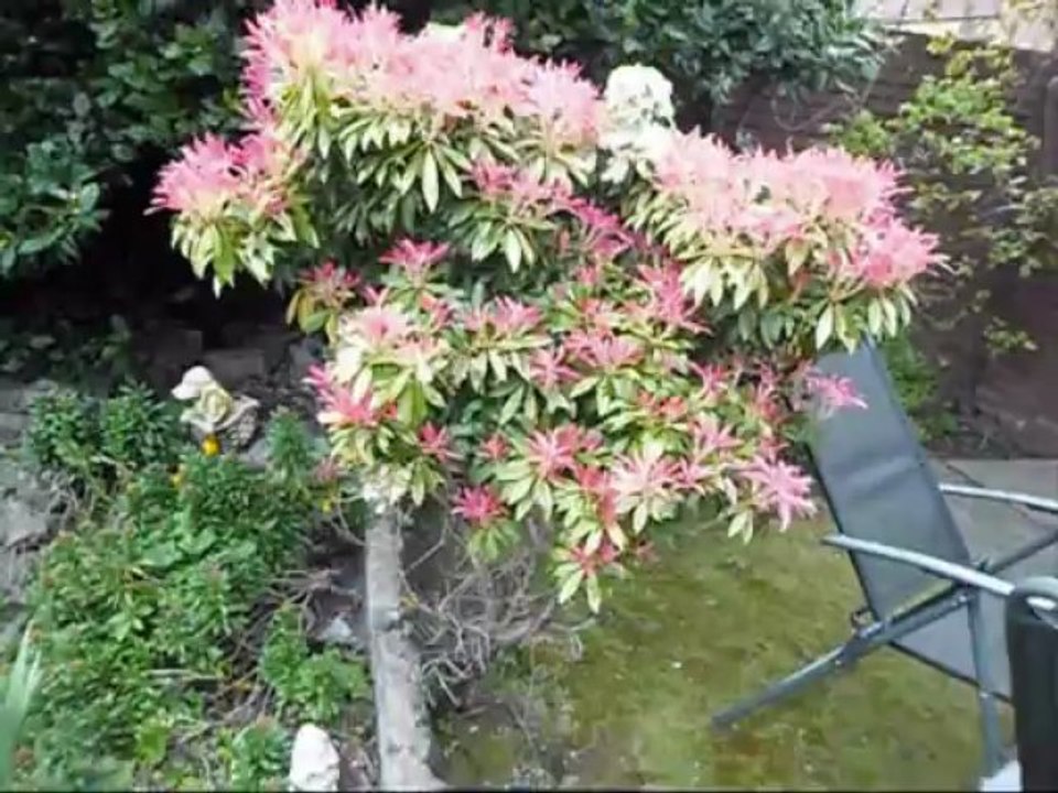 GARDEN 30th APRIL