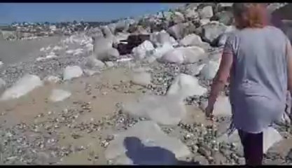 j'ai regardé ton amour (video)