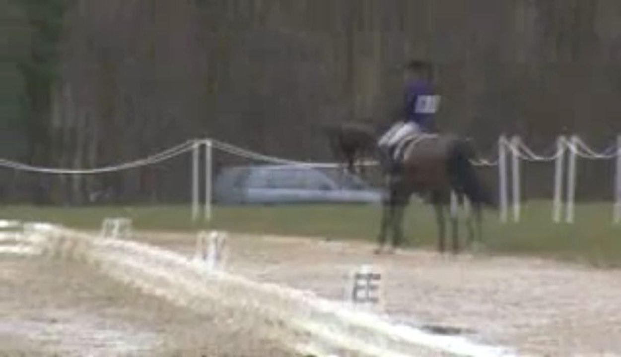 fontenay dress cecile