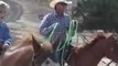 Wool Saddle Pad Reviews 805-528-8009 Felt Saddle Pads Western