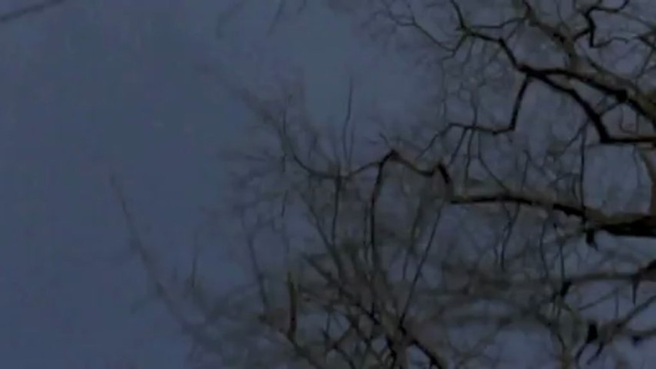 Video.1
