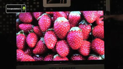 Sony Bravia 4K Triluminus Display