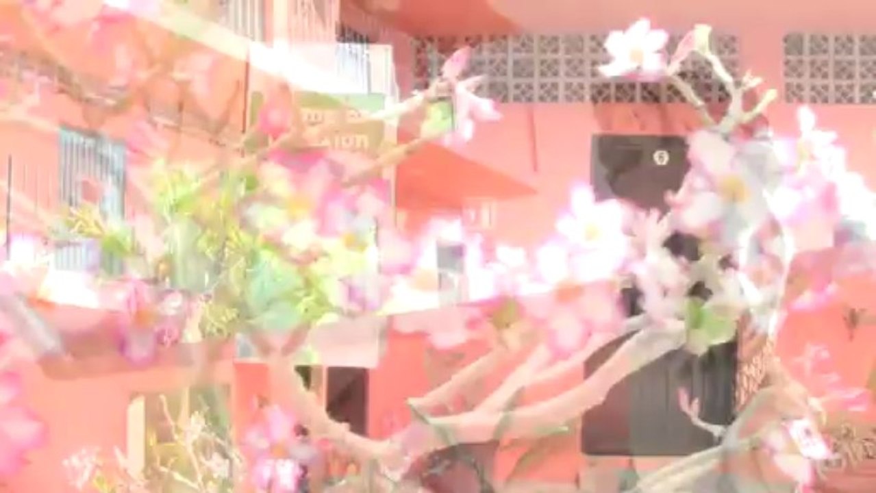 Hotel Villa Las Flores, Hotel Economico y Comfortable en Puerto Vallarta