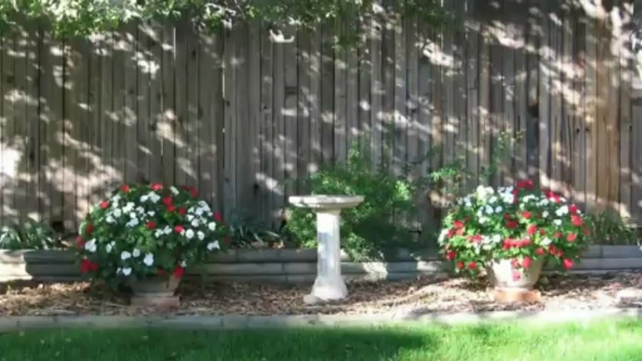 Louisville CO Homes for Sale