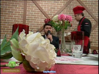 Rıza Günay Yeşil Elma 2013