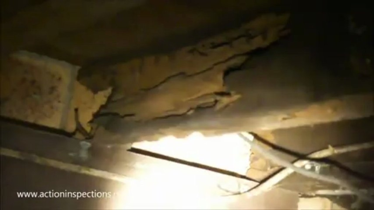 Moisture & Termite Damage - Building Inspections Brisbane