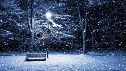 bad piggies скачать pc