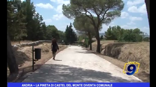 Andria | La pineta di Castel del Monte diventa Comunale