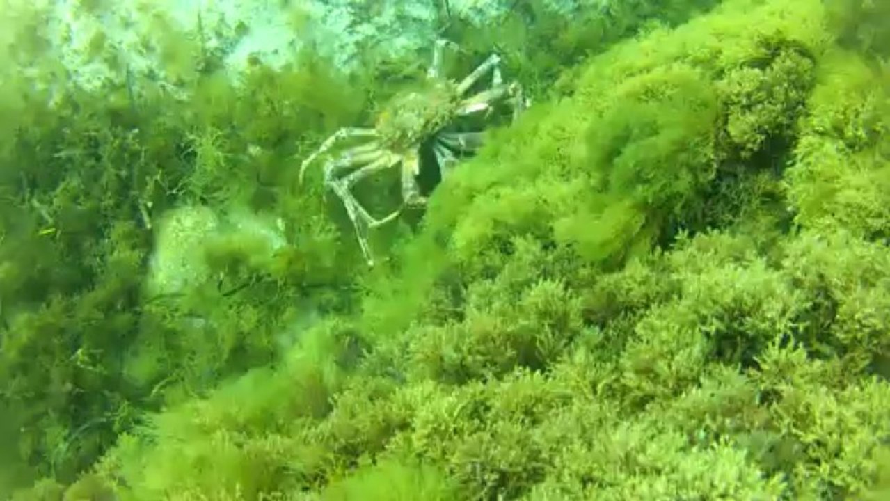 GOPR0370