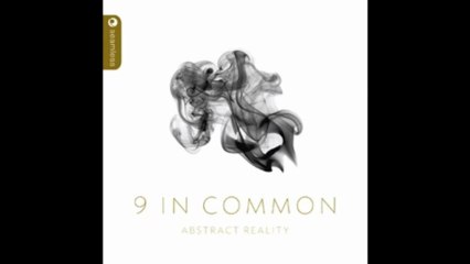 9 In Common - Road Song (Seamless Recordings)