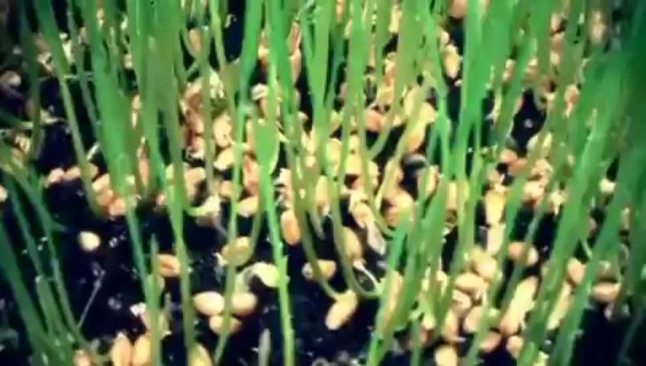 M&D Substance - The Trip (SEAMLESS RECORDINGS)