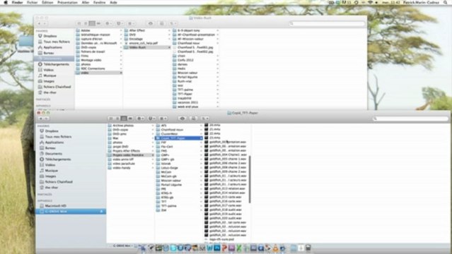 Comment rassembler tous les fichiers d'un projet de montage