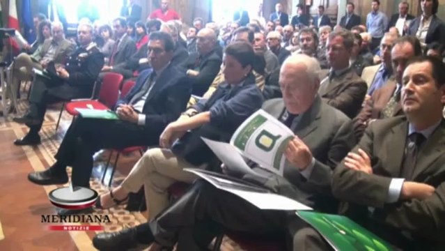 Diminuiscono i terreni coltivati e aumentano le aziende, per Confagricoltura il settore deve essere