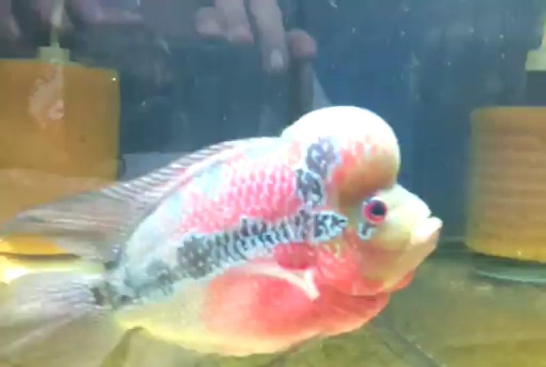 video-2013-05-01-13-11-40