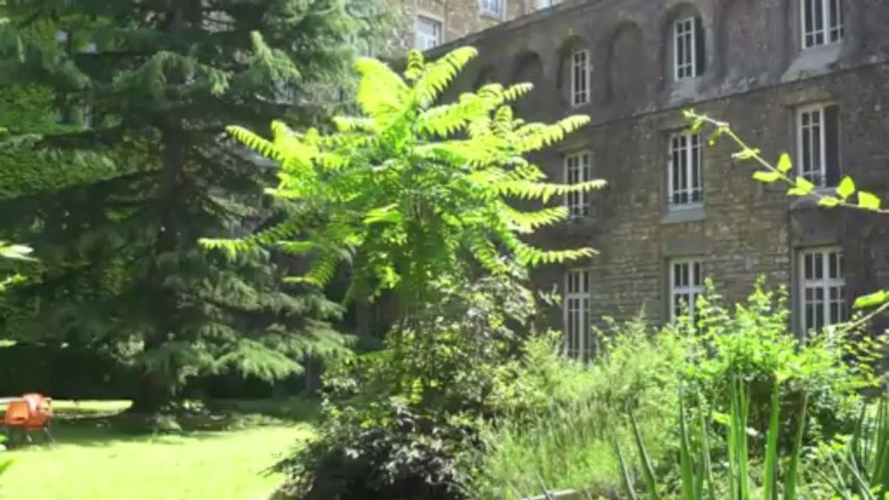 Dernier été