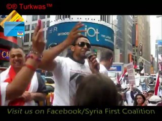 syria n egypt hand in hand _6.18.2_11