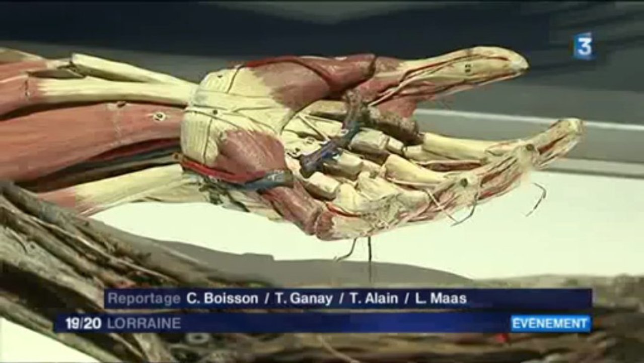 F3L-20130430-soir expos Renaissance Nancy 2013