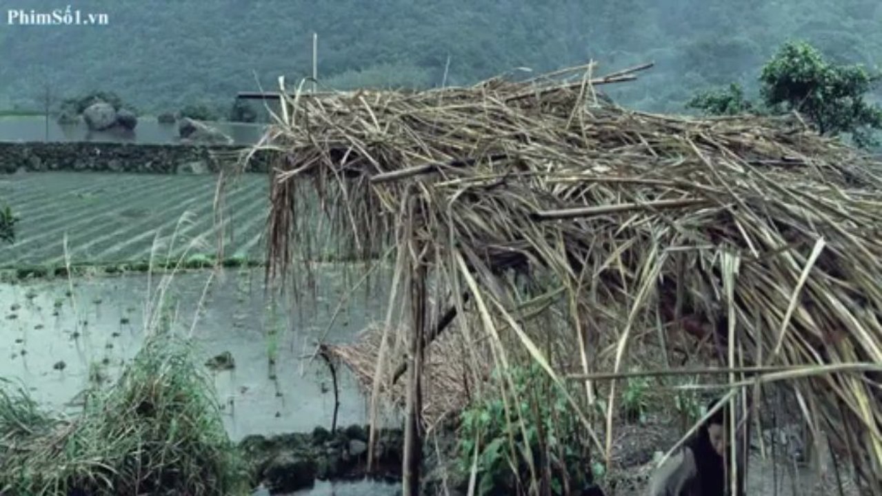 hoadang-005