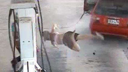 Fuel Heist Fail Sends Girl Flying
