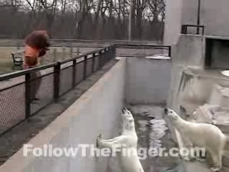 Polar Boogie