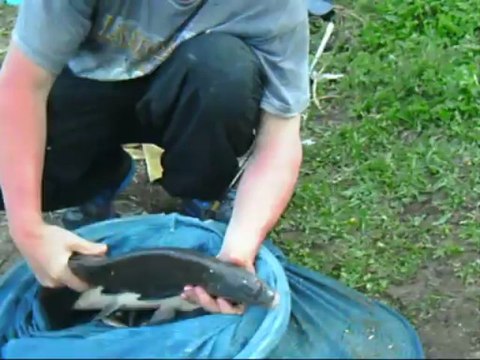 peche a l anglaise en riviere