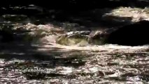 Stock Video - Stock Footage - Video Backgrounds - The River 0508