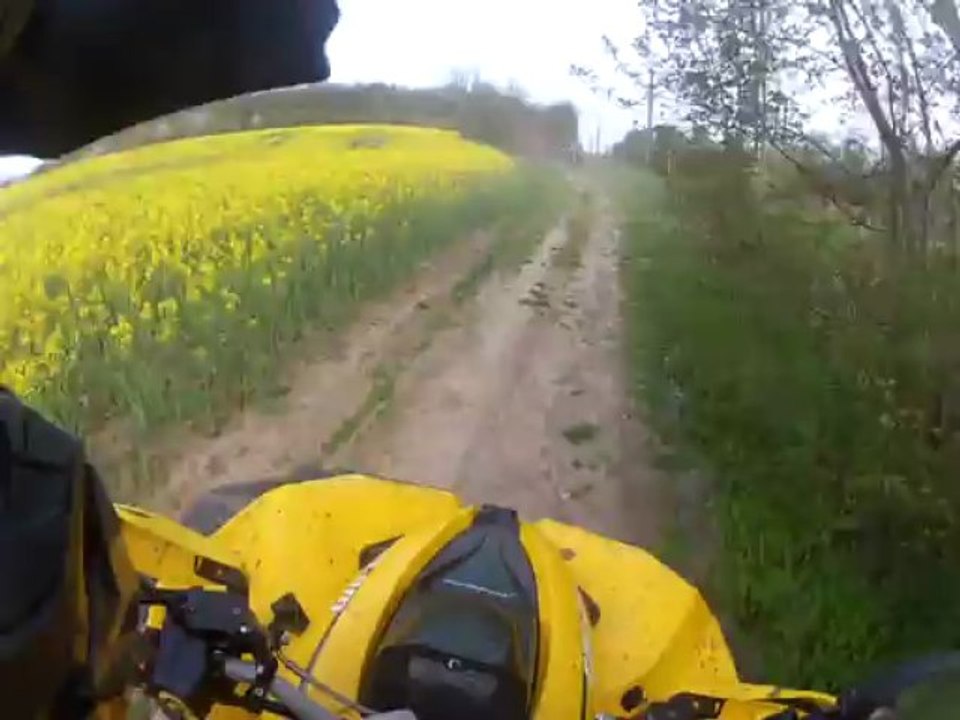 Sortie du 28 Avril 2013