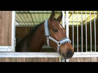 HIP HOP LE DUNE CAMPIONESSA A ROMACAVALLI