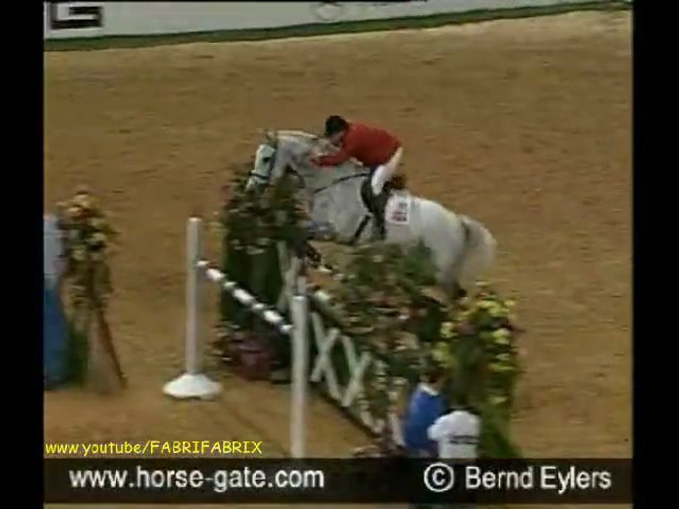 COME ON   Holsteiner Stallionavi